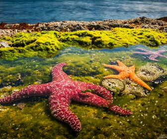 Replay Planète bleue - 26/12/2025