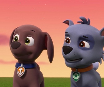 Replay Paw Patrol, la Pat'Patrouille - Une pieuvre farceuse
