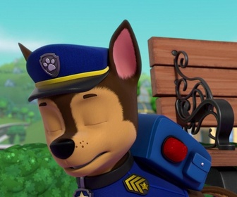 Replay Paw Patrol, la Pat'Patrouille - Galinetta pilote un avion