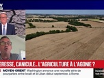 Replay Marschall Truchot : Sécheresse, canicule, l'agriculture à l'agonie ? - 11/08