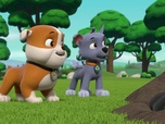 Replay Paw Patrol, la Pat'Patrouille - Mission camion : Panique sur l'autoroute