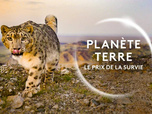 Replay Planète Terre - 13/04/2026
