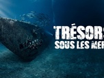 Replay Trésors sous les mers - 05/07/2026
