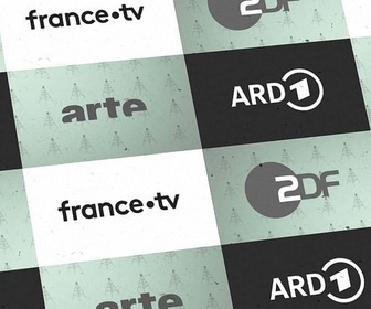 Replay L'audiovisuel public critiqué