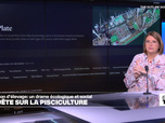 Replay Élément Terre, La Quotidienne