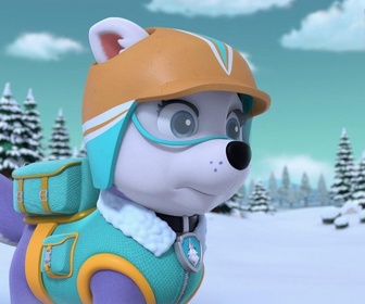 Replay Paw Patrol, la Pat'Patrouille - Le bébé caribou