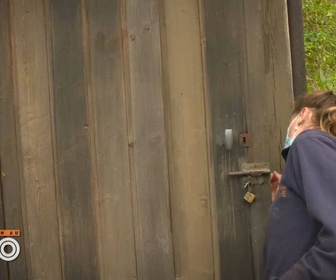 Replay Une saison au zoo - S13 E30