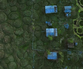 Replay Urgence climatique : un défi mondial - Coup de chaud sur l'Arctique