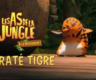 Replay Les as de la jungle à la rescousse - Karaté tigre