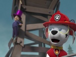 Replay Paw Patrol, la Pat'Patrouille - Le petit paresseux