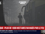 Replay BFM Grand Soir - Belgique : plus de 1 600 hectares ravagés par le feu - 15/08