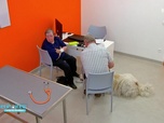 Replay Vétérinaires : leur vie en direct - Yann et ses éléphants