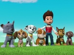 Replay Paw Patrol, la Pat'Patrouille - Les trois oiseaux