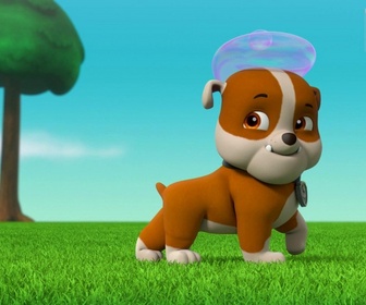 Replay Paw Patrol, la Pat'Patrouille - La Super Patrouille, Puissance Maximale : le retour du Copichat