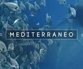 Replay Mediterraneo - En Tunisie, dans la nasse