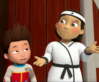 Replay Paw Patrol, la Pat'Patrouille - Comme chiens et chats - 26'