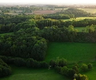 Replay Redécouvrir le bocage - Les promesses de la terre