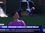 Replay L'image du jour : Tennis, invasion d'abeilles à Indian Wells ! - 15/03