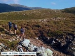 Replay Un jour, un doc week-end - Corse : un été pas comme les autres (1/2)