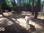 Replay Une saison au zoo - S12 E24