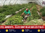 Replay BFM Première prématinale - Focus Régions - 27/05
