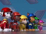 Replay Paw Patrol, la Pat'Patrouille - Mission Tout-Terrain : Une course au sommet