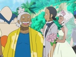 Replay Pokemon - S21 E12 - Une nouvelle aventure pour les Professeurs !