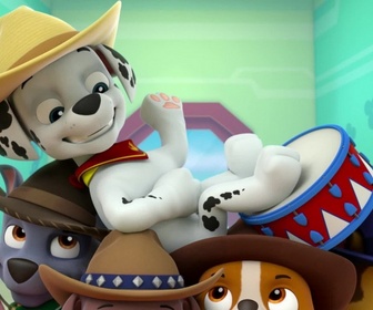 Replay Paw Patrol, la Pat'Patrouille - Le concours du meilleur chili