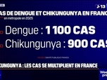 Replay Week-end première - Prolifération des moustiques tigre: 1.100 cas de dengue et 900 de chikungunya recensés en France en 2025