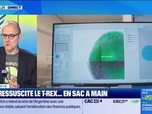 Replay Culture IA : L'IA ressuscite le T-rex... en sac à main, par Anthony Morel - 06/05