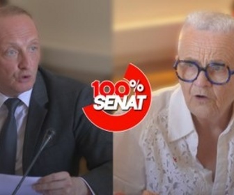 Replay 100% Sénat - Services publics et ruralité : audition de Françoise Gatel et Laurent Marcangeli