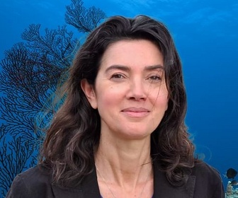 Replay 28 minutes - Fonds marins en danger ?