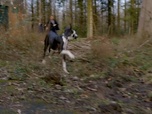 Replay Profilage - S8 E3 - Les héritiers (1/2)