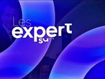 Replay Les experts sans frontières - Vendredi 17 octobre