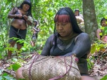 Replay La force des forêts - L'homme et la nature, une nouvelle alliance