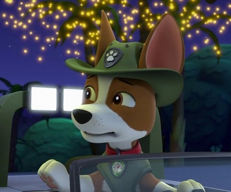 Replay Paw Patrol, la Pat'Patrouille - Super Chats : le rugissement du chat