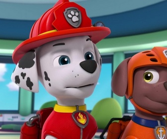 Replay Paw Patrol, la Pat'Patrouille - Monsieur Hellinger, pilote d'hélicoptère
