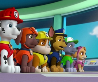 Replay Paw Patrol, la Pat'Patrouille - Madame Goodway à la ferme