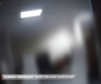 Replay Zone interdite - Saumon et contrefaçon : enquête sur la face cachée de Noël