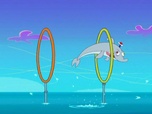 Replay Zig et Sharko - Le retour du dauphin zinzin