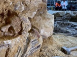 Replay Archéologie - Enquête sur les trésors enfouis de Notre-Dame de Paris