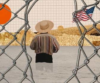 Replay Est-il vrai que... ? - Est-il vrai qu'autrefois les migrations n'étaient pas aussi nombreuses ?