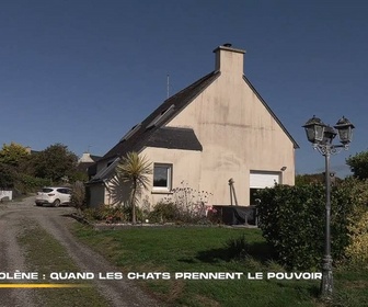 Replay 66 minutes - Le meilleur pâtissier du monde passe à table / Molène : quand les chats prennent le pouvoir / Mini portions, maxi plaisir : ils vous régalent à petits prix ! / Noël et les secrets du château enchanté