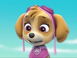 Replay Paw Patrol, la Pat'Patrouille - Maurice et Mauricette