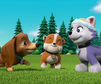 Replay Paw Patrol, la Pat'Patrouille - Liberty à la rescousse
