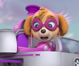 Replay Paw Patrol, la Pat'Patrouille - La ponette