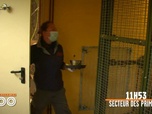Replay Une saison au zoo - S13 E14