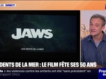 Replay Culture et vous - Pour les 50 ans du film des Dents de la Mer, une projection en plein air aux Sables d'Olonne a rassemblé environ 300 personnes