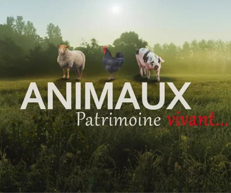 Replay La France en Vrai - Centre-Val de Loire