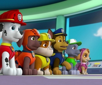 Replay Paw Patrol, la Pat'Patrouille - Madame Goodway à la ferme